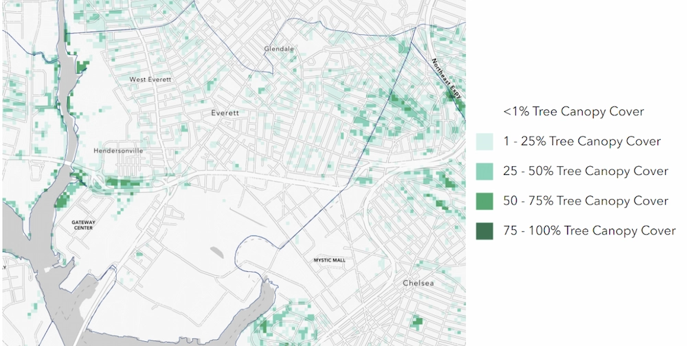 A map of the tree canopy cover in Everett, mostly blank or in the 1-25% cover.