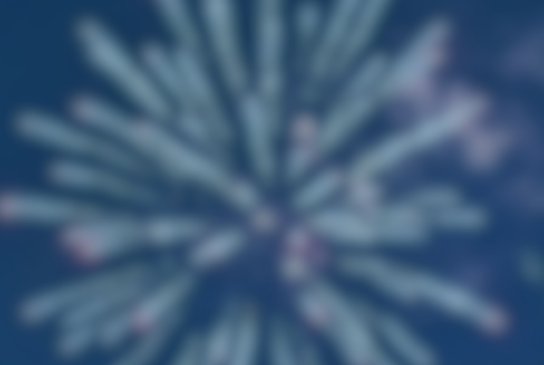 A single firework blurred