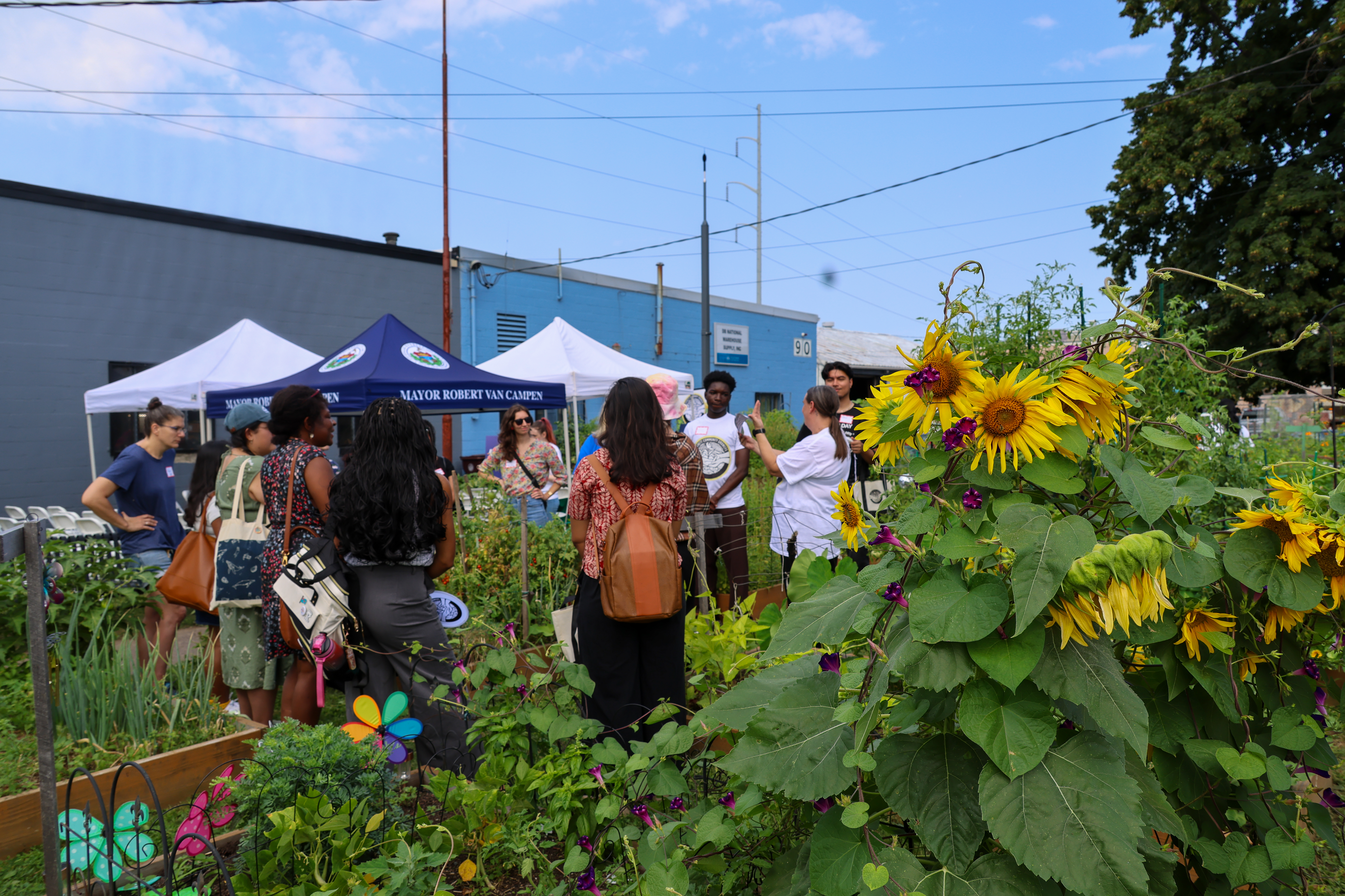 Attendees gather in the gardens at Tremont Street Community Garden with sunflowers in the foreground.
